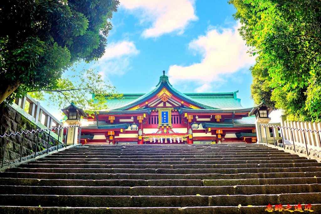 pic pimg tw look2up 1716179163 1743468560 g l jpg