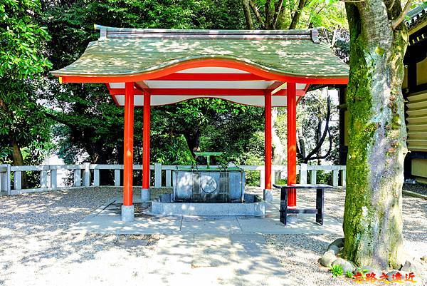 pic pimg tw look2up 1716179163 2596099159 g n jpg