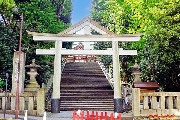 pic pimg tw look2up 1716179163 4114197339 g n jpg