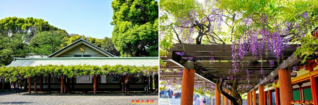 pic pimg tw look2up 1716179173 1872855416 g l jpg