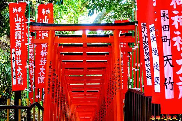 pic pimg tw look2up 1716179177 3005981986 g n jpg