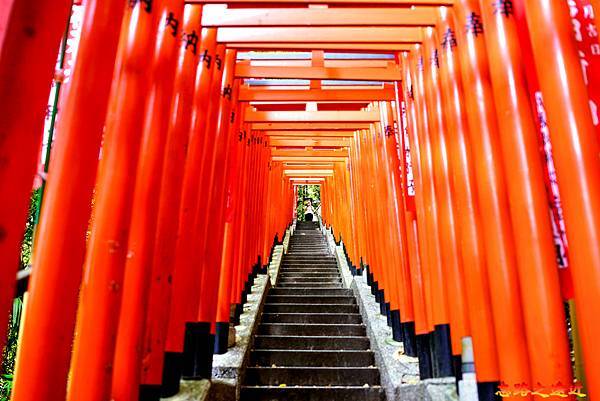 pic pimg tw look2up 1716179178 1511789711 g n jpg