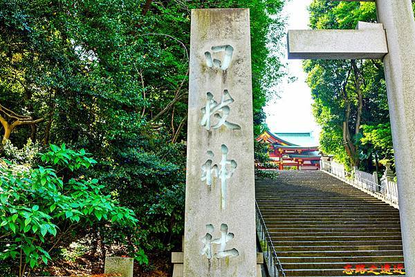 pic pimg tw look2up 1716346628 2829218194 g n jpg