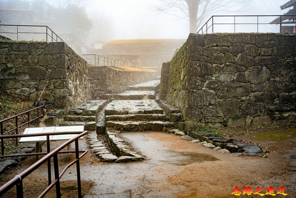 pic pimg tw look2up 1717647080 934221113 g l jpg