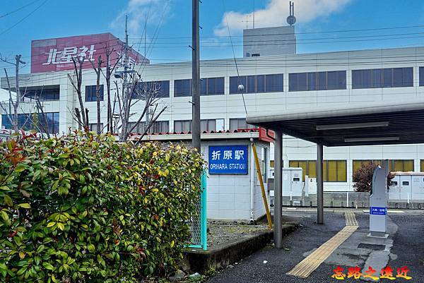 pic pimg tw look2up 1719647796 3416060875 g n jpg