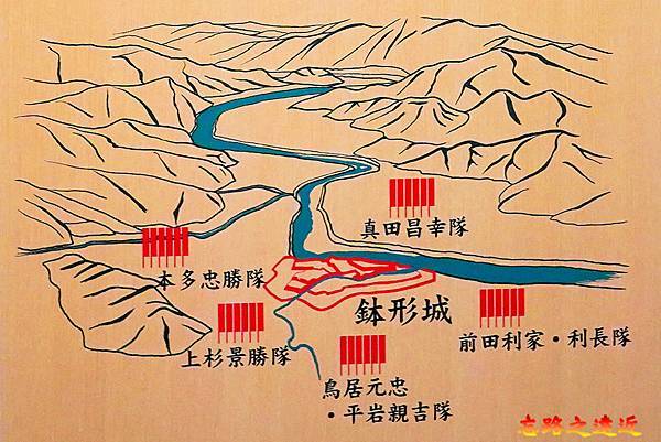 pic pimg tw look2up 1719647798 2919547789 g n jpg