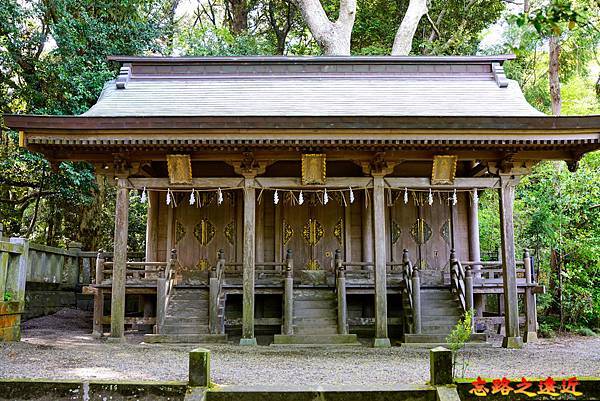 pic pimg tw look2up 1719970362 3224628679 g n jpg