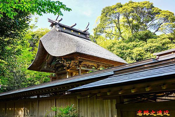 pic pimg tw look2up 1719970362 3231207196 g n jpg