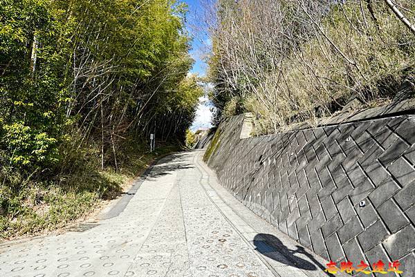 【日本百大名城20】關東篇-佐倉城~鎮守江戶東方的要害之城,賞櫻賞梅名所 (Sakura Castle) 21 pic pimg tw look2up 1721444325 1869360823 g n jpg