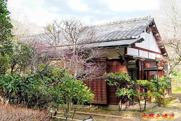 【日本百大名城20】關東篇-佐倉城~鎮守江戶東方的要害之城,賞櫻賞梅名所 (Sakura Castle) 14 pic pimg tw look2up 1721444328 2934305812 g n jpg