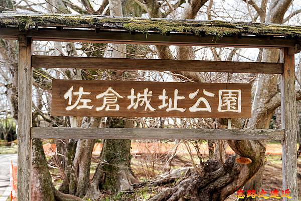 【日本百大名城20】關東篇-佐倉城~鎮守江戶東方的要害之城,賞櫻賞梅名所 (Sakura Castle) 3 pic pimg tw look2up 1721444328 4106884604 g n jpg