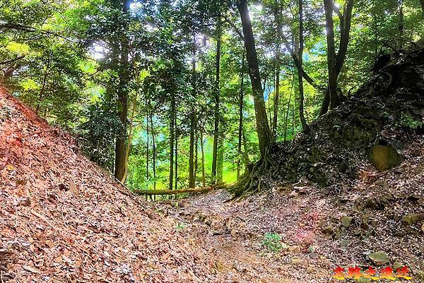 【日本百大名城22】關東篇-八王子城~戰國末期關東巨大山城,悲劇與靈異之城,日本五大山城之一 (Hachiouji Castle) 12 pic pimg tw look2up 1723780277 3136500260 g n jpg