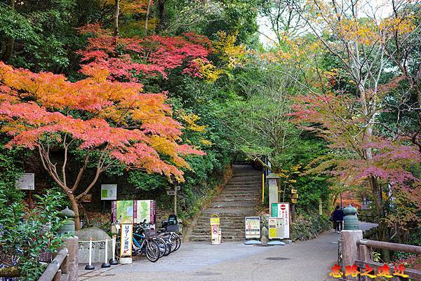 【關西.大阪】賞楓景點~~箕面公園楓紅之旅 超詳細介紹 (京阪箕面站-瀧安寺-箕面大瀧-1目千本) 9 pic pimg tw look2up 1724315495 319712411 g n jpg