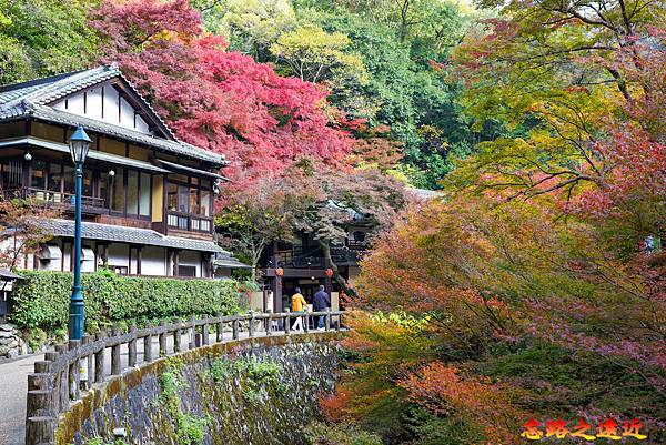 【關西.大阪】賞楓景點~~箕面公園楓紅之旅 超詳細介紹 (京阪箕面站-瀧安寺-箕面大瀧-1目千本) 10 pic pimg tw look2up 1724315495 388645800 g n jpg