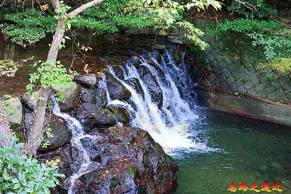 【關西.大阪】賞楓景點~~箕面公園楓紅之旅 超詳細介紹 (京阪箕面站-瀧安寺-箕面大瀧-1目千本) 13 pic pimg tw look2up 1724315498 3274772576 g n jpg