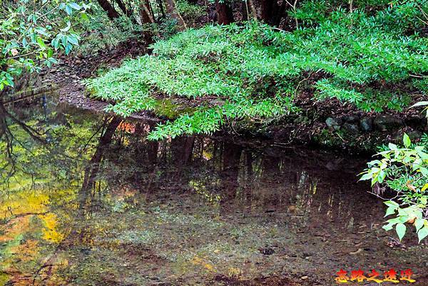 【關西.大阪】賞楓景點~~箕面公園楓紅之旅 超詳細介紹 (京阪箕面站-瀧安寺-箕面大瀧-1目千本) 12 pic pimg tw look2up 1724315498 3301872579 g n jpg