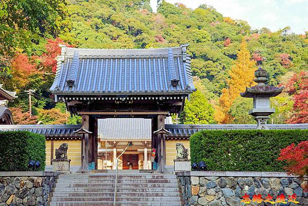 【關西.大阪】賞楓景點~~箕面公園楓紅之旅 超詳細介紹 (京阪箕面站-瀧安寺-箕面大瀧-1目千本) 17 pic pimg tw look2up 1724315498 3603513137 g n jpg