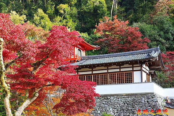 【關西.大阪】賞楓景點~~箕面公園楓紅之旅 超詳細介紹 (京阪箕面站-瀧安寺-箕面大瀧-1目千本) 21 pic pimg tw look2up 1724315500 3905048701 g n jpg