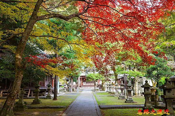 【關西.大阪】賞楓景點~~箕面公園楓紅之旅 超詳細介紹 (京阪箕面站-瀧安寺-箕面大瀧-1目千本) 24 pic pimg tw look2up 1724315501 4133420471 g n jpg