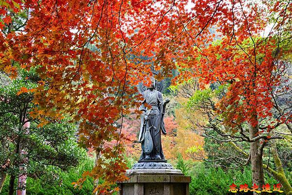 【關西.大阪】賞楓景點~~箕面公園楓紅之旅 超詳細介紹 (京阪箕面站-瀧安寺-箕面大瀧-1目千本) 26 pic pimg tw look2up 1724315503 1384487582 g n jpg