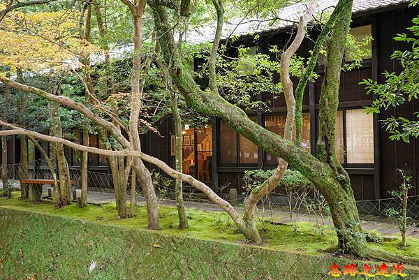 【關西.大阪】賞楓景點~~箕面公園楓紅之旅 超詳細介紹 (京阪箕面站-瀧安寺-箕面大瀧-1目千本) 30 pic pimg tw look2up 1724315504 2916577599 g n jpg