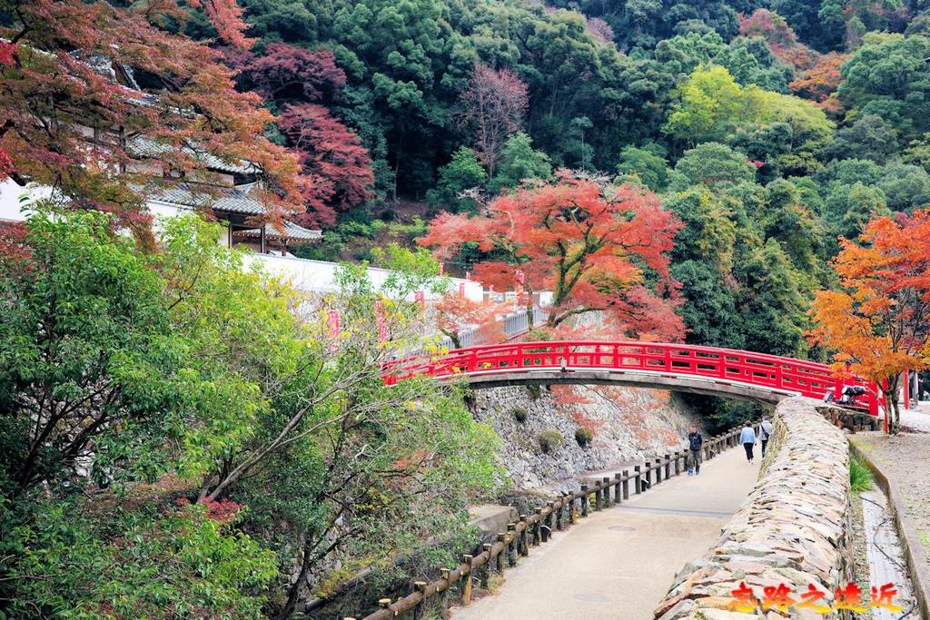 【關西.大阪】賞楓景點~~箕面公園楓紅之旅 超詳細介紹 (京阪箕面站-瀧安寺-箕面大瀧-1目千本) 19 pic pimg tw look2up 1724315504 4025239738 g l jpg