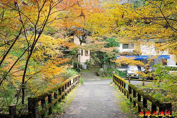 【關西.大阪】賞楓景點~~箕面公園楓紅之旅 超詳細介紹 (京阪箕面站-瀧安寺-箕面大瀧-1目千本) 29 pic pimg tw look2up 1724315506 3856012566 g n jpg