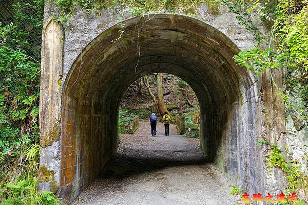 【關西.大阪】賞楓景點~~箕面公園楓紅之旅 超詳細介紹 (京阪箕面站-瀧安寺-箕面大瀧-1目千本) 33 pic pimg tw look2up 1724315506 3998973980 g n jpg