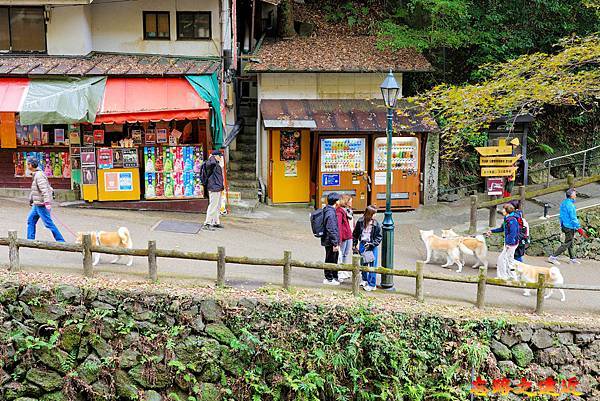 【關西.大阪】賞楓景點~~箕面公園楓紅之旅 超詳細介紹 (京阪箕面站-瀧安寺-箕面大瀧-1目千本) 38 pic pimg tw look2up 1724315509 3190948763 g n jpg