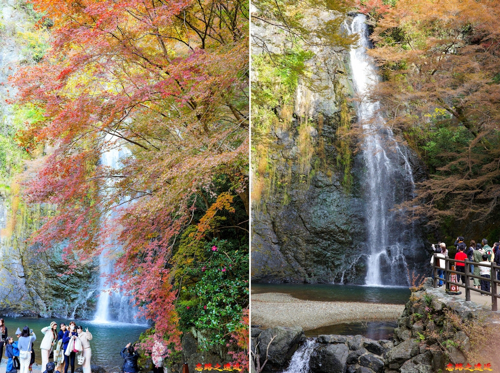 【關西.大阪】賞楓景點~~箕面公園楓紅之旅 超詳細介紹 (京阪箕面站-瀧安寺-箕面大瀧-1目千本) 37 pic pimg tw look2up 1724404317 3883707542 g l jpg