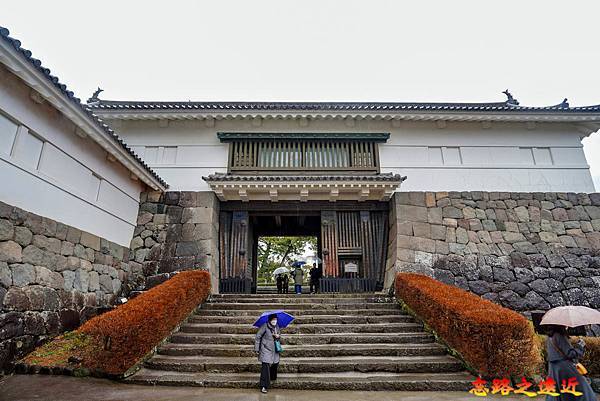 pic pimg tw look2up 1724898950 1034576902 g n jpg