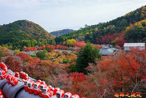 pic pimg tw look2up 1728178936 1179040961 g n jpg