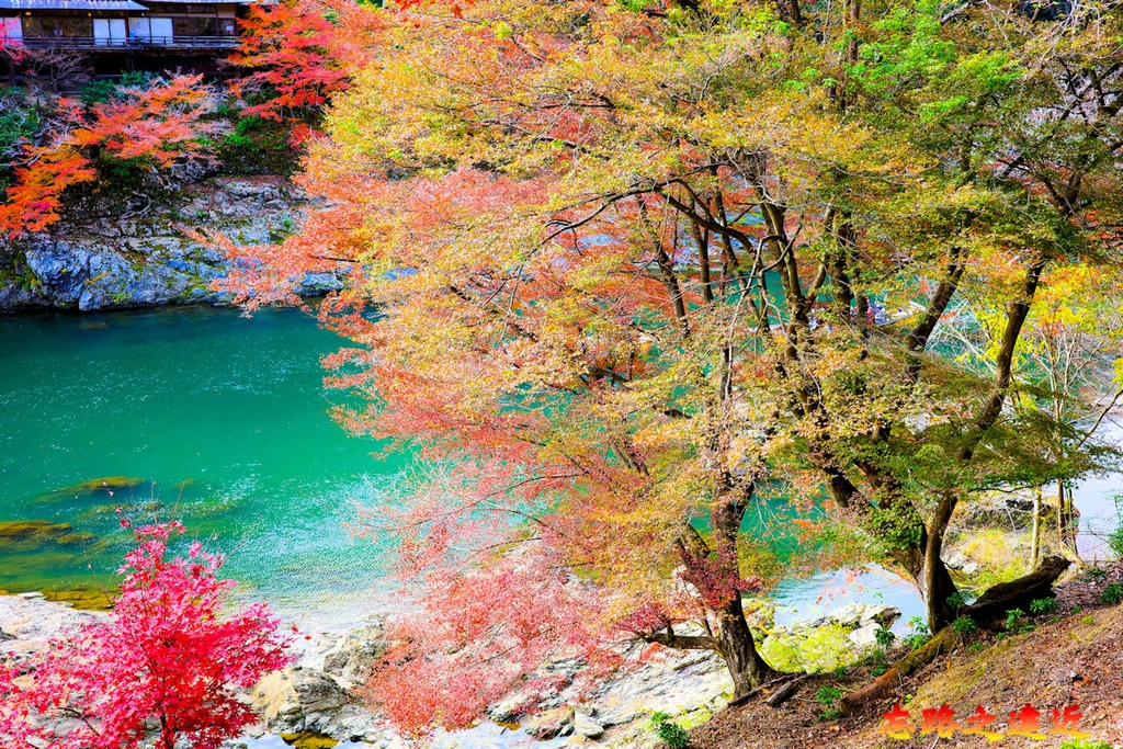 pic pimg tw look2up 1728969646 205249623 g l jpg