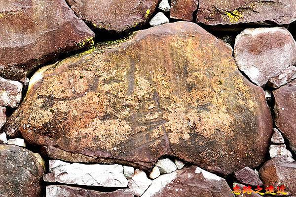 pic pimg tw look2up 1729306470 3275234235 g n jpg