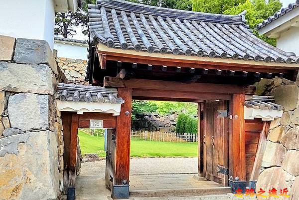 pic pimg tw look2up 1729306476 2802329856 g n jpg