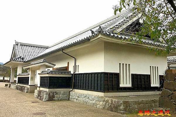 pic pimg tw look2up 1729306480 1121554996 g n jpg