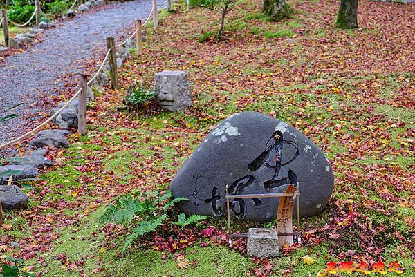 pic pimg tw look2up 1730179730 3310012538 g n jpg