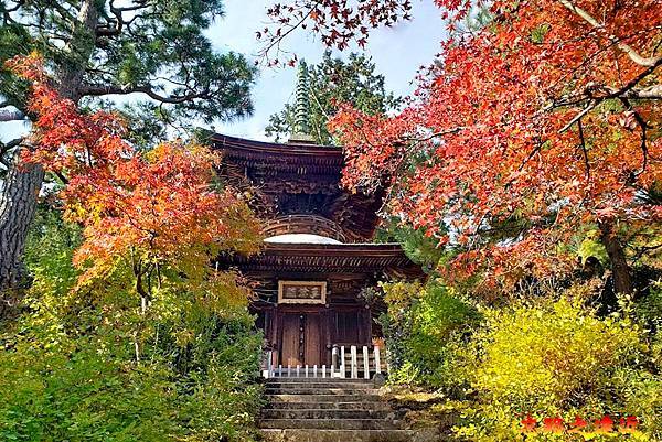 pic pimg tw look2up 1730179889 1506640557 g n jpg