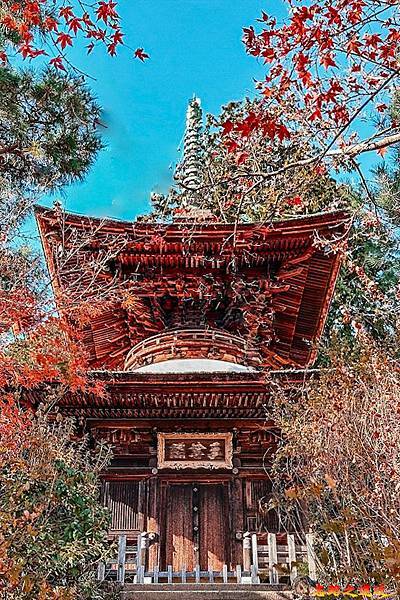 pic pimg tw look2up 1730179890 3927125769 g n jpg