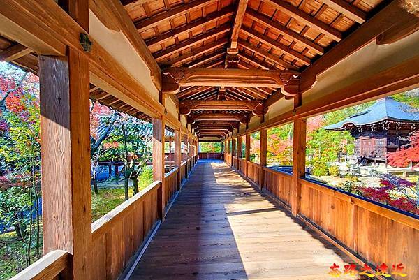 pic pimg tw look2up 1730179956 42141835 g n jpg