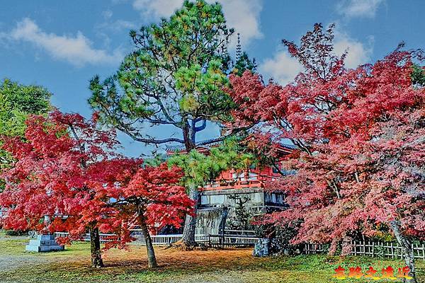 pic pimg tw look2up 1730187168 2105674125 g n jpg