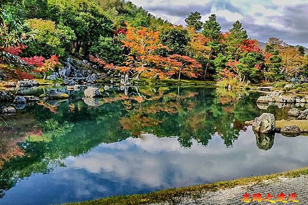 pic pimg tw look2up 1730264233 3764083837 g n jpg