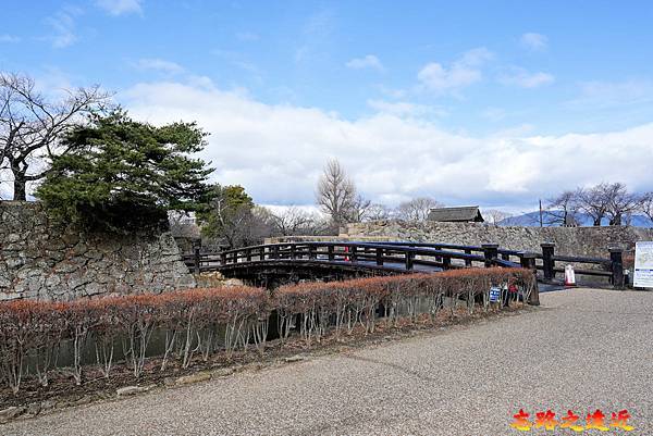 pic pimg tw look2up 1730779066 2685859892 g n jpg