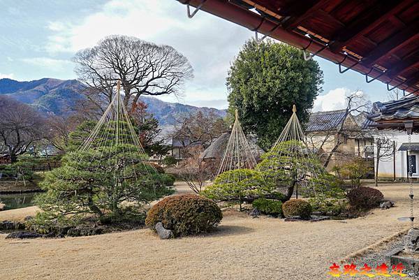 pic pimg tw look2up 1730779068 2318079020 g n jpg