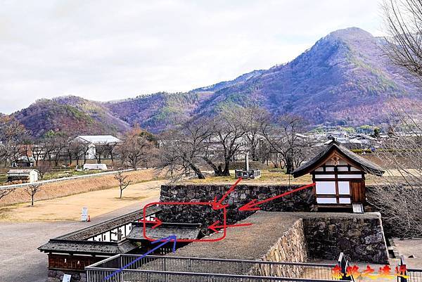 pic pimg tw look2up 1730791033 1250661831 g n jpg