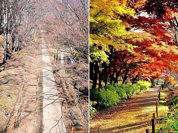 pic pimg tw look2up 1733892878 2931976436 g n jpg