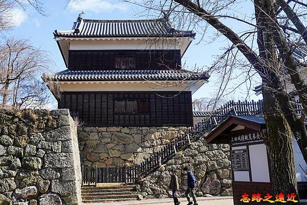 pic pimg tw look2up 1733892884 2144238755 g n jpg