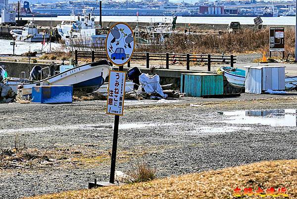 【東北.青森.八戶】蕪島神社-雪霽天晴中,走訪「蕪島」上的能量神社 (含:交通、御朱印...) 11 pic pimg tw look2up 1735620346 1450895668 g n jpg