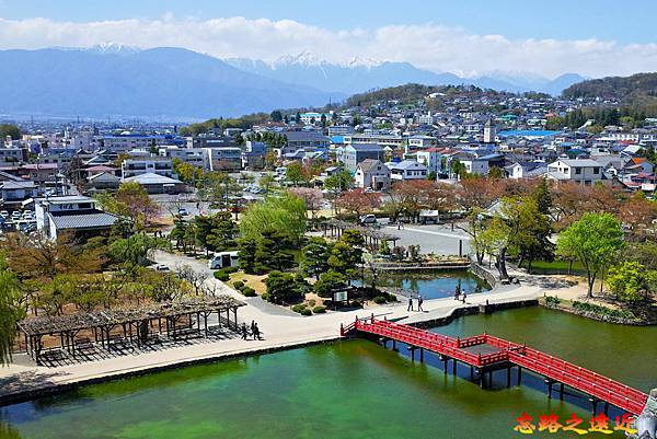 pic pimg tw look2up 1736493751 1174113653 g n jpg