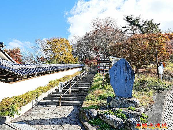 pic pimg tw look2up 1736916975 3084492566 g n jpg